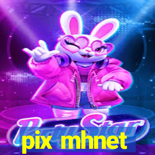 pix mhnet